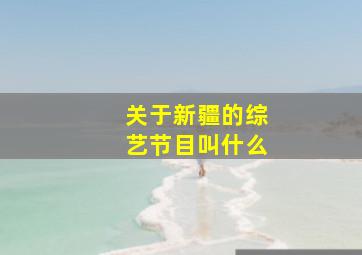 关于新疆的综艺节目叫什么