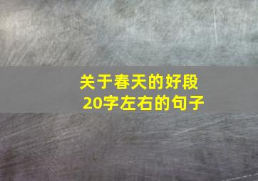 关于春天的好段20字左右的句子