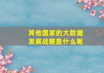 其他国家的大数据发展战略是什么呢