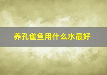 养孔雀鱼用什么水最好