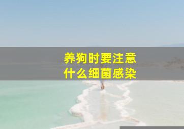 养狗时要注意什么细菌感染