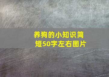 养狗的小知识简短50字左右图片