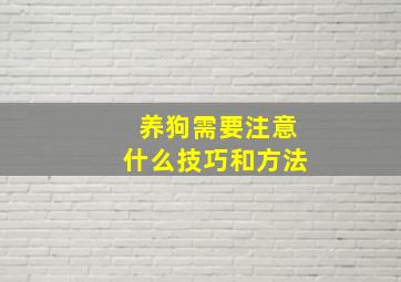 养狗需要注意什么技巧和方法