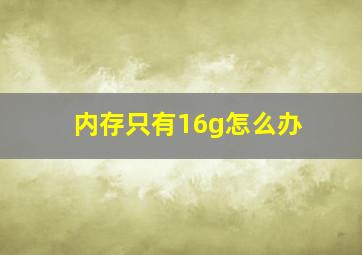 内存只有16g怎么办