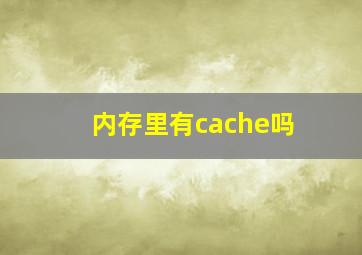 内存里有cache吗