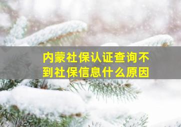 内蒙社保认证查询不到社保信息什么原因