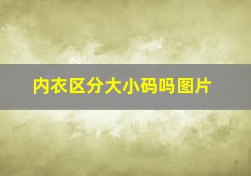 内衣区分大小码吗图片