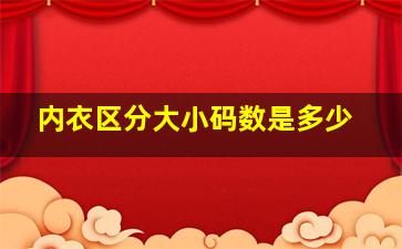 内衣区分大小码数是多少