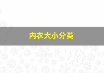 内衣大小分类