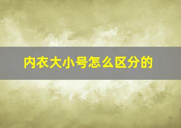 内衣大小号怎么区分的