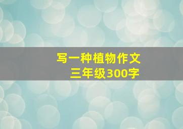 写一种植物作文三年级300字