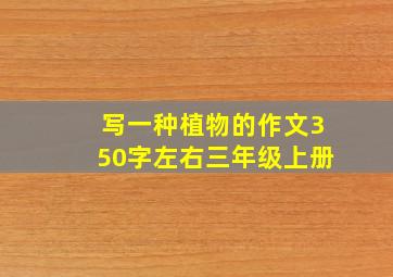 写一种植物的作文350字左右三年级上册