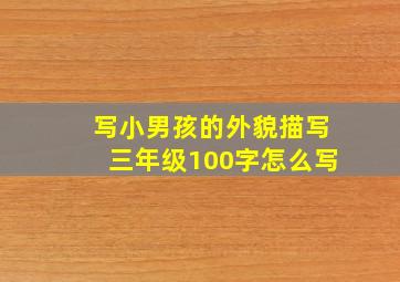 写小男孩的外貌描写三年级100字怎么写