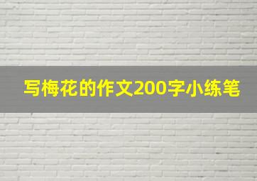 写梅花的作文200字小练笔