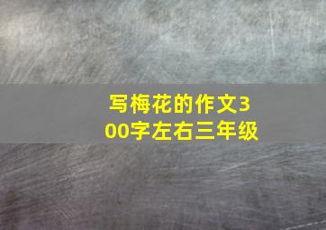 写梅花的作文300字左右三年级