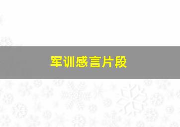 军训感言片段