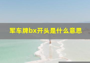 军车牌bx开头是什么意思