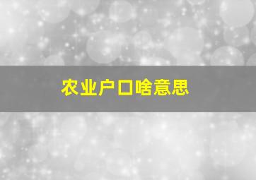 农业户口啥意思