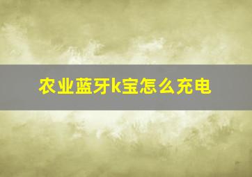 农业蓝牙k宝怎么充电