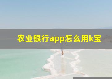 农业银行app怎么用k宝