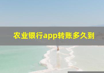 农业银行app转账多久到