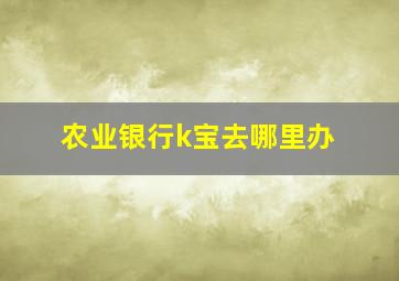 农业银行k宝去哪里办