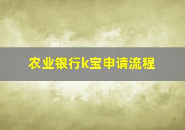 农业银行k宝申请流程