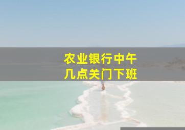 农业银行中午几点关门下班