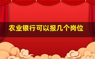 农业银行可以报几个岗位