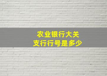 农业银行大关支行行号是多少