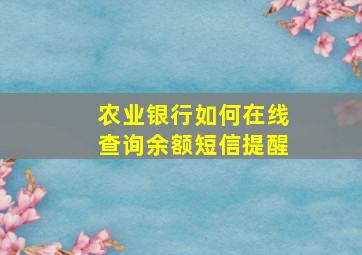 农业银行如何在线查询余额短信提醒