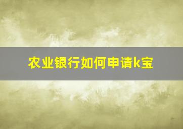 农业银行如何申请k宝