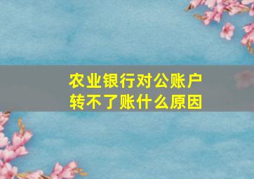 农业银行对公账户转不了账什么原因