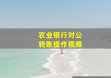 农业银行对公转账操作视频