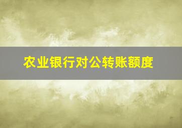 农业银行对公转账额度