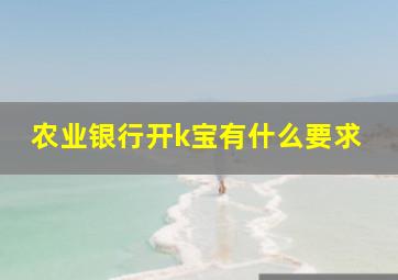 农业银行开k宝有什么要求