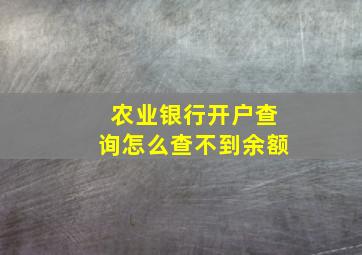 农业银行开户查询怎么查不到余额