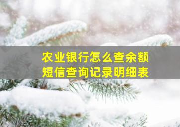 农业银行怎么查余额短信查询记录明细表