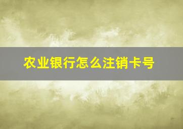 农业银行怎么注销卡号