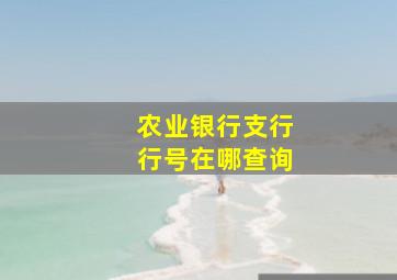 农业银行支行行号在哪查询