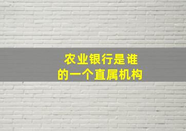 农业银行是谁的一个直属机构