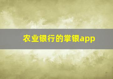 农业银行的掌银app