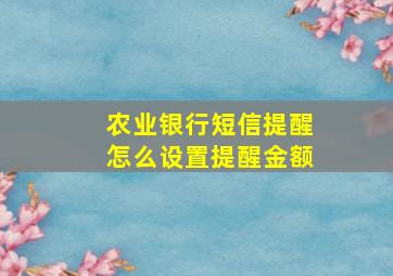 农业银行短信提醒怎么设置提醒金额