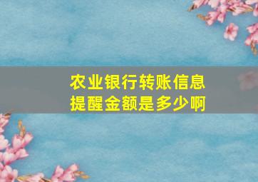 农业银行转账信息提醒金额是多少啊