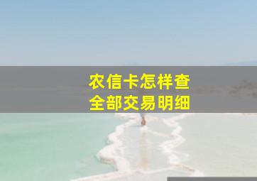 农信卡怎样查全部交易明细