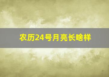 农历24号月亮长啥样