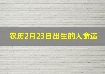 农历2月23日出生的人命运