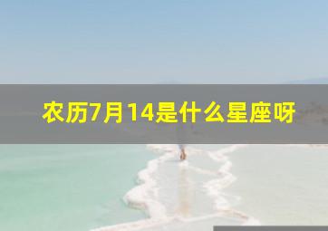 农历7月14是什么星座呀