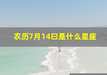 农历7月14曰是什么星座