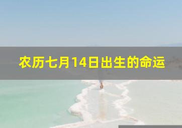 农历七月14日出生的命运